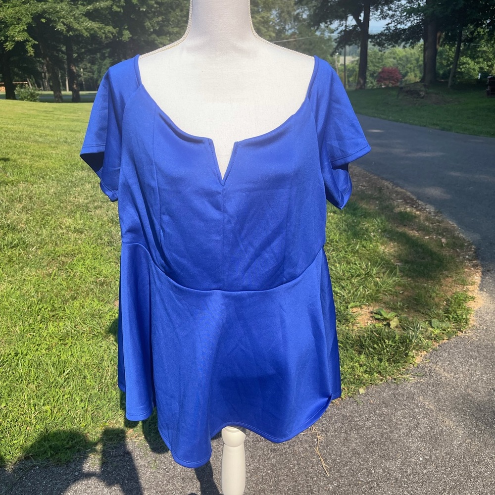 NWT torrid top